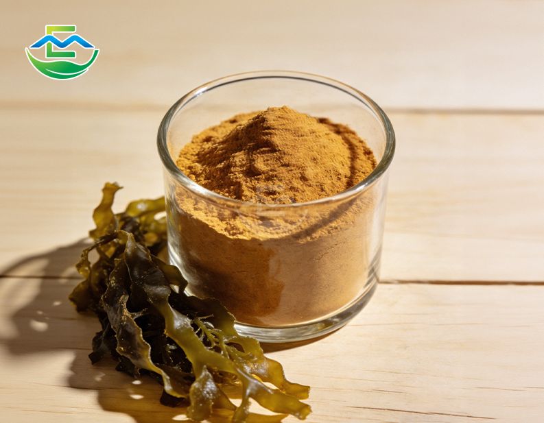 Irish Sea Moss Extract Powder Wholesale